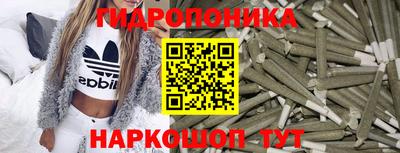 бошки Дубна