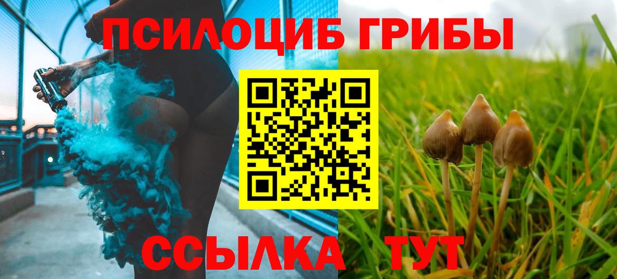 Псилоцибиновые грибы Psilocybe  Вход с VPN  Губаха  Псилоцибиновые грибы мухоморы 