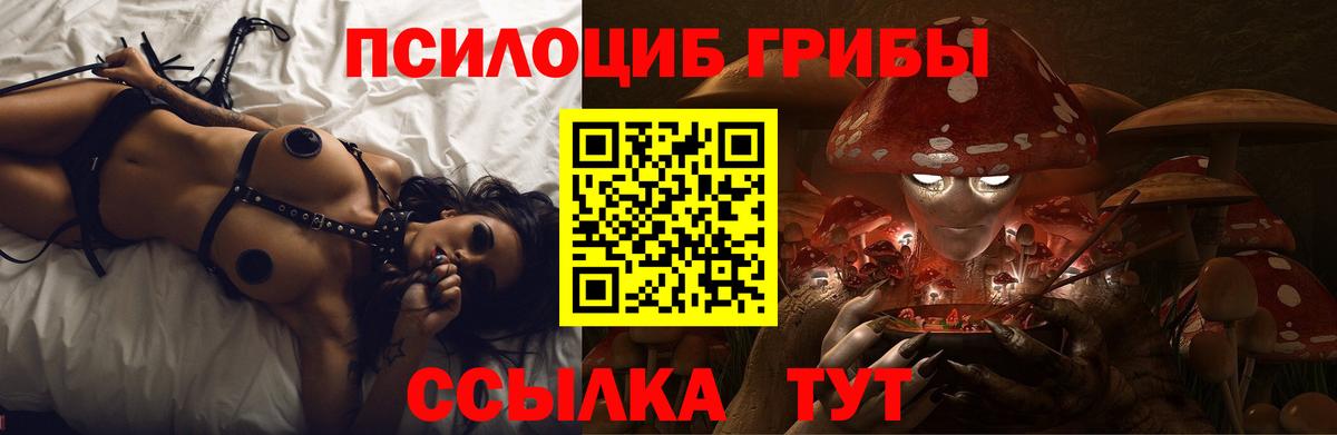 Псилоцибиновые грибы GOLDEN TEACHER Губаха